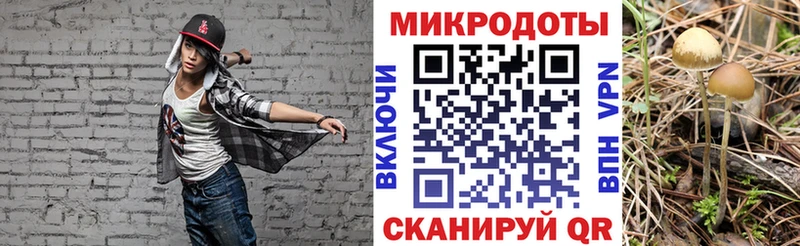 где купить наркотик Выкса Галлюциногенные грибы Psilocybine cubensis